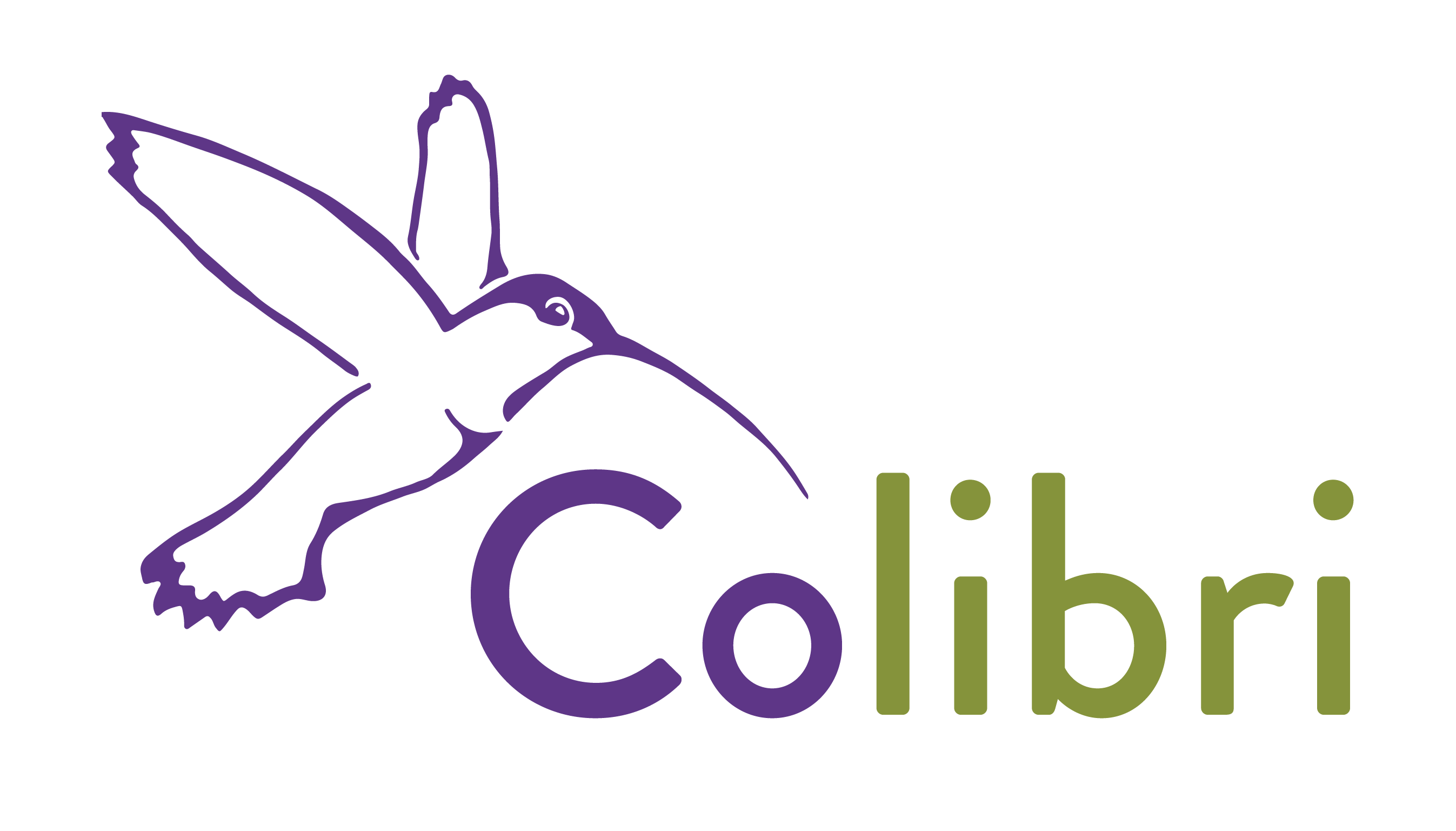 Colibri Facilitation